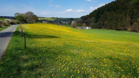 Sauerland Lente Deutschland.