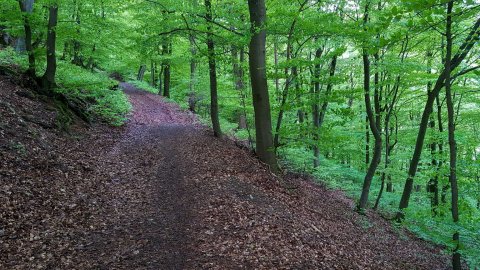 Sauerland Herfst Deutschland.