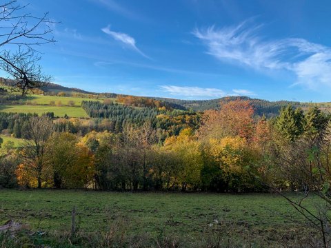 Sauerland Natur wandelen.