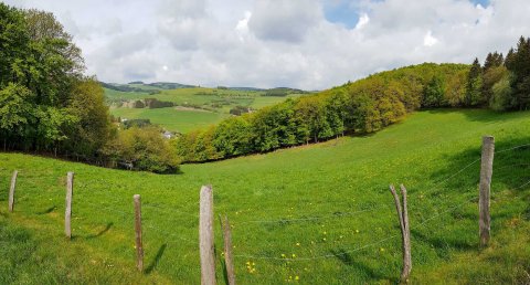 Wandelingen Deifeld Sauerland Deutschland.