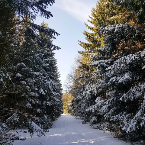 Winter in Sauerland Deutschland